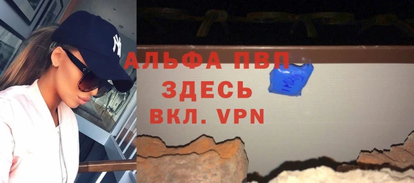 индика Нягань