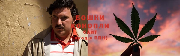 амф Белокуриха