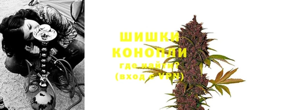 гидра Белоозёрский