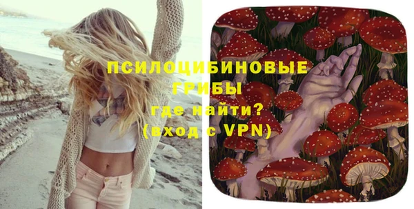 амф Белокуриха