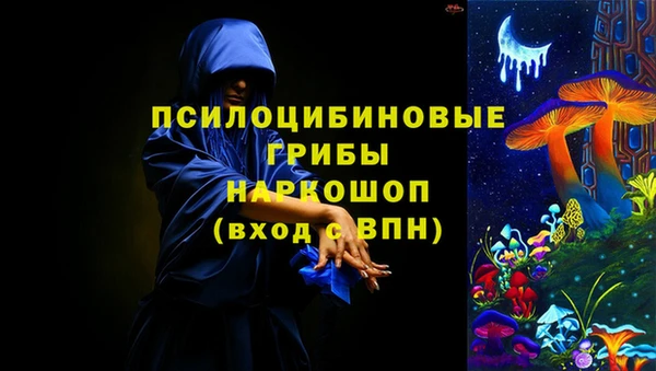 амф Белокуриха