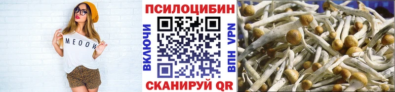 Псилоцибиновые грибы GOLDEN TEACHER  где купить наркоту  Елизаветинская 